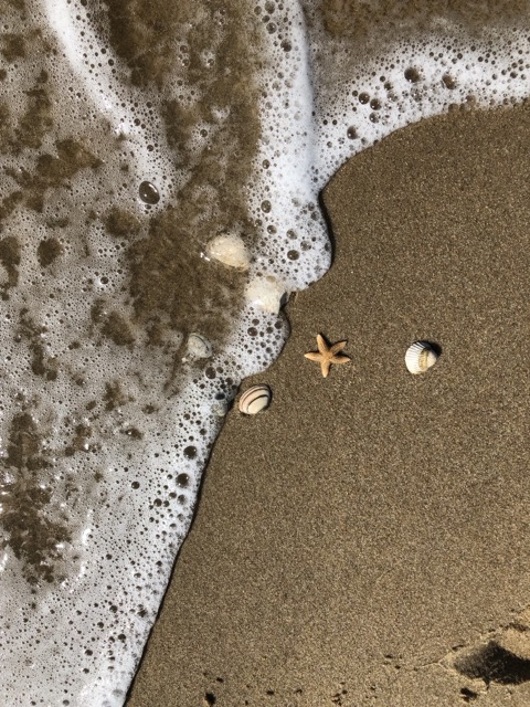 Pur Natur am Strand