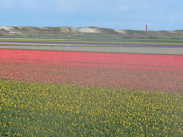 Uitzicht vanuit de tuin in het voorjaar